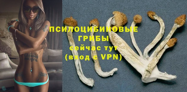 spice Инсар