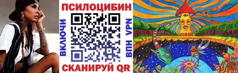 хочу   Верхняя Пышма  Псилоцибиновые грибы мицелий 
