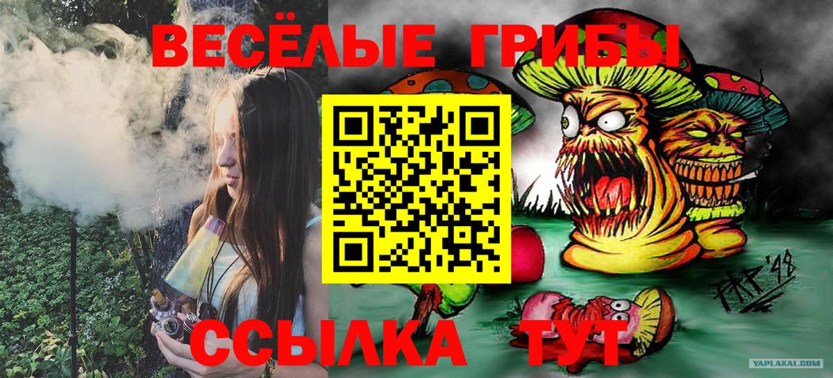 Верхняя Пышма  Галлюциногенные грибы ЛСД  Вход с VPN 