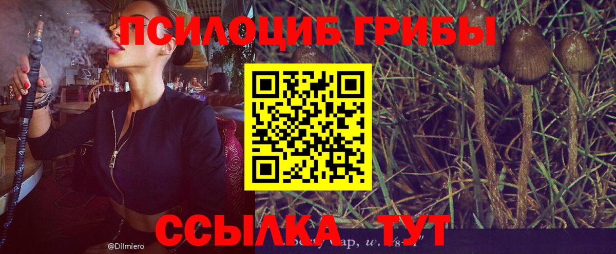 Галлюциногенные грибы GOLDEN TEACHER Верхняя Пышма